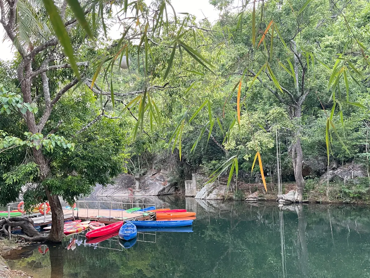 Small coloured kayaks tied up at the edge of a calm green lake under trees