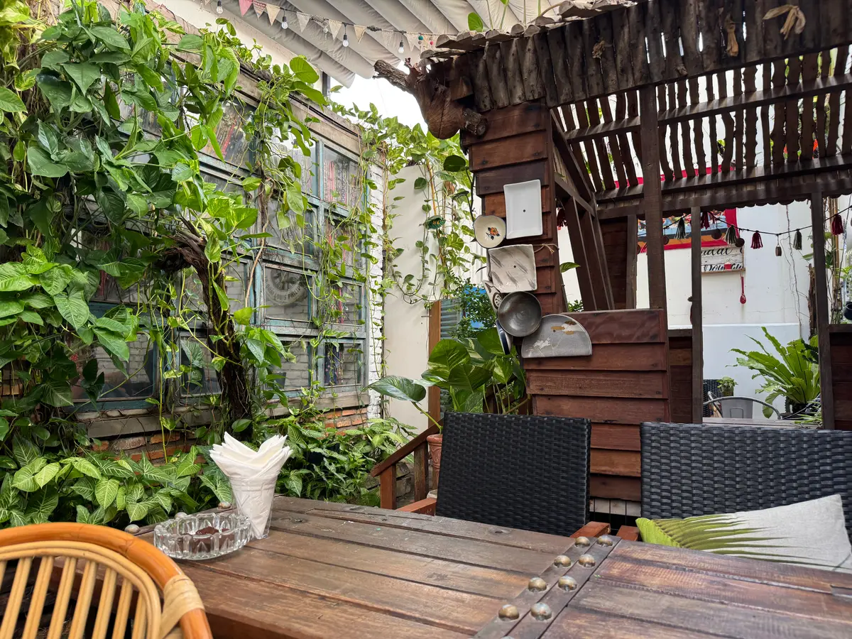 Wooden table and chairs among vines and plants on a covered terrace
