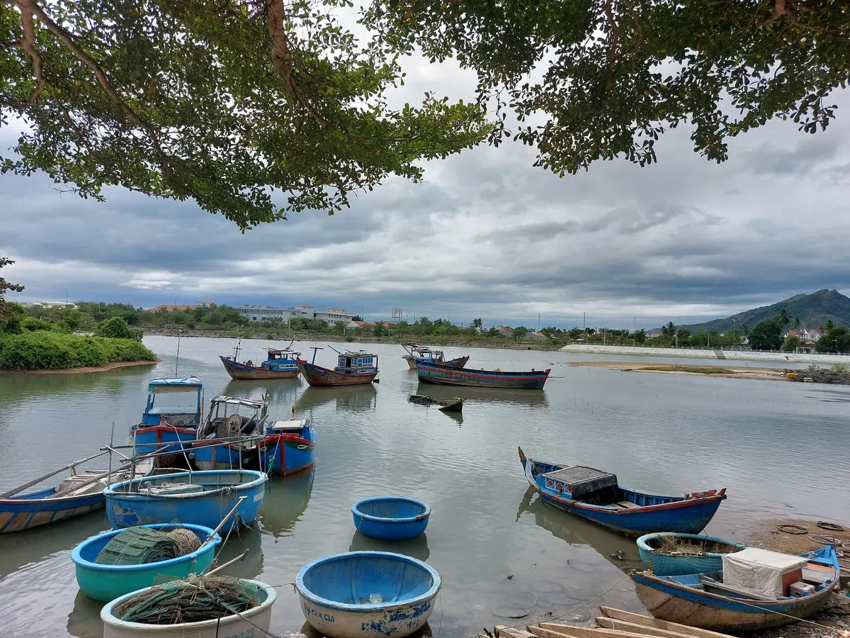 Round basket boats and small fishing boats on calm water below a wooded shore