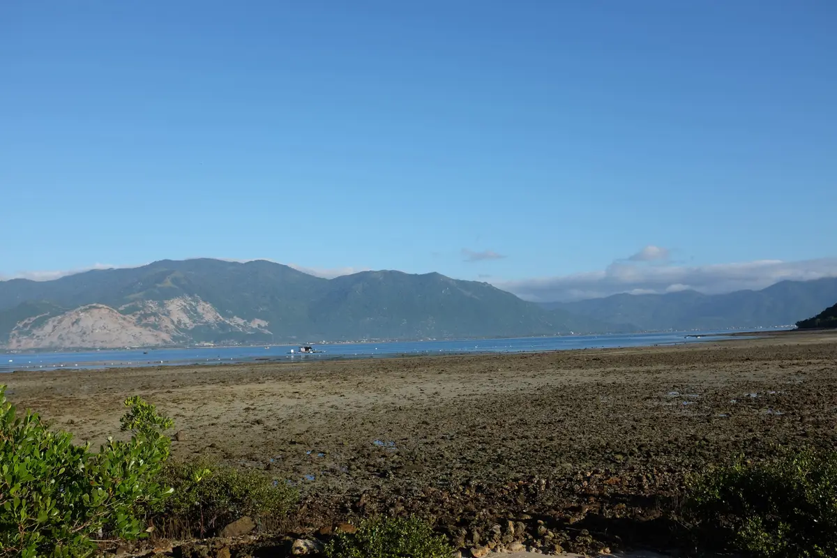 Exposed tidal flat at low water with green hills behind