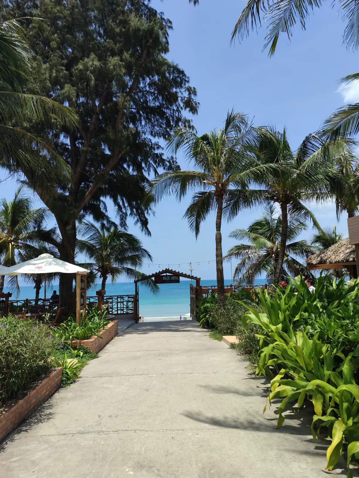 Paved path through palm trees leading to a wooden beach gate and the sea