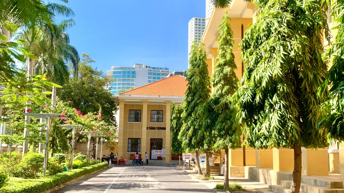 Yellow colonial-style institute building behind a shaded lawn and trees