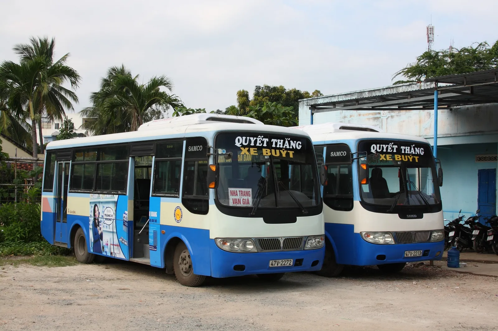 Two blue and white city buses parked beside palm trees in Nha Trang