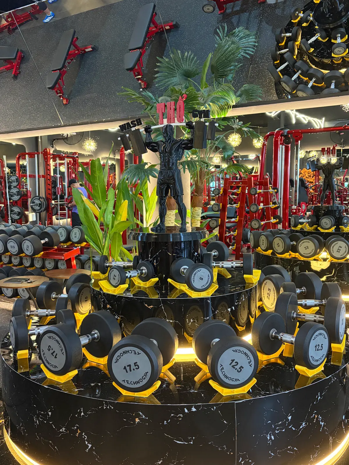 Rows of dumbbells on racks between potted palms in a gym