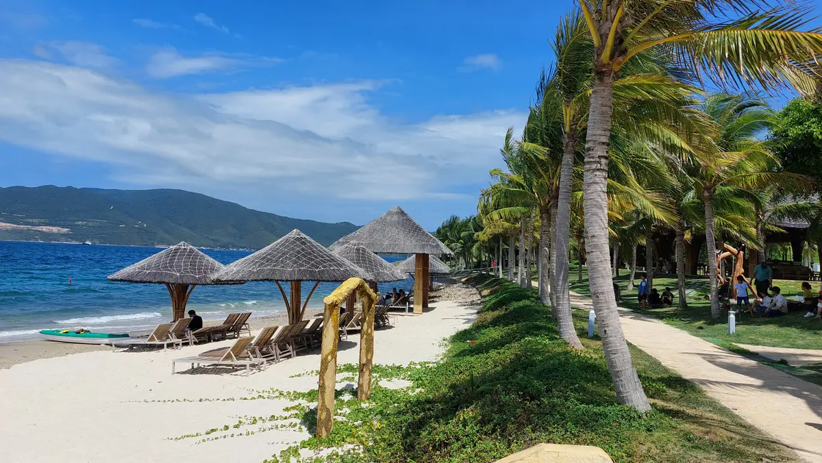 Thatched parasols and sun loungers on a white sand beach lined with palms