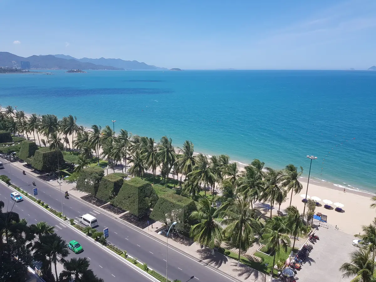 Coast road with cars running beside rows of palm trees, a sandy beach and a wide blue sea