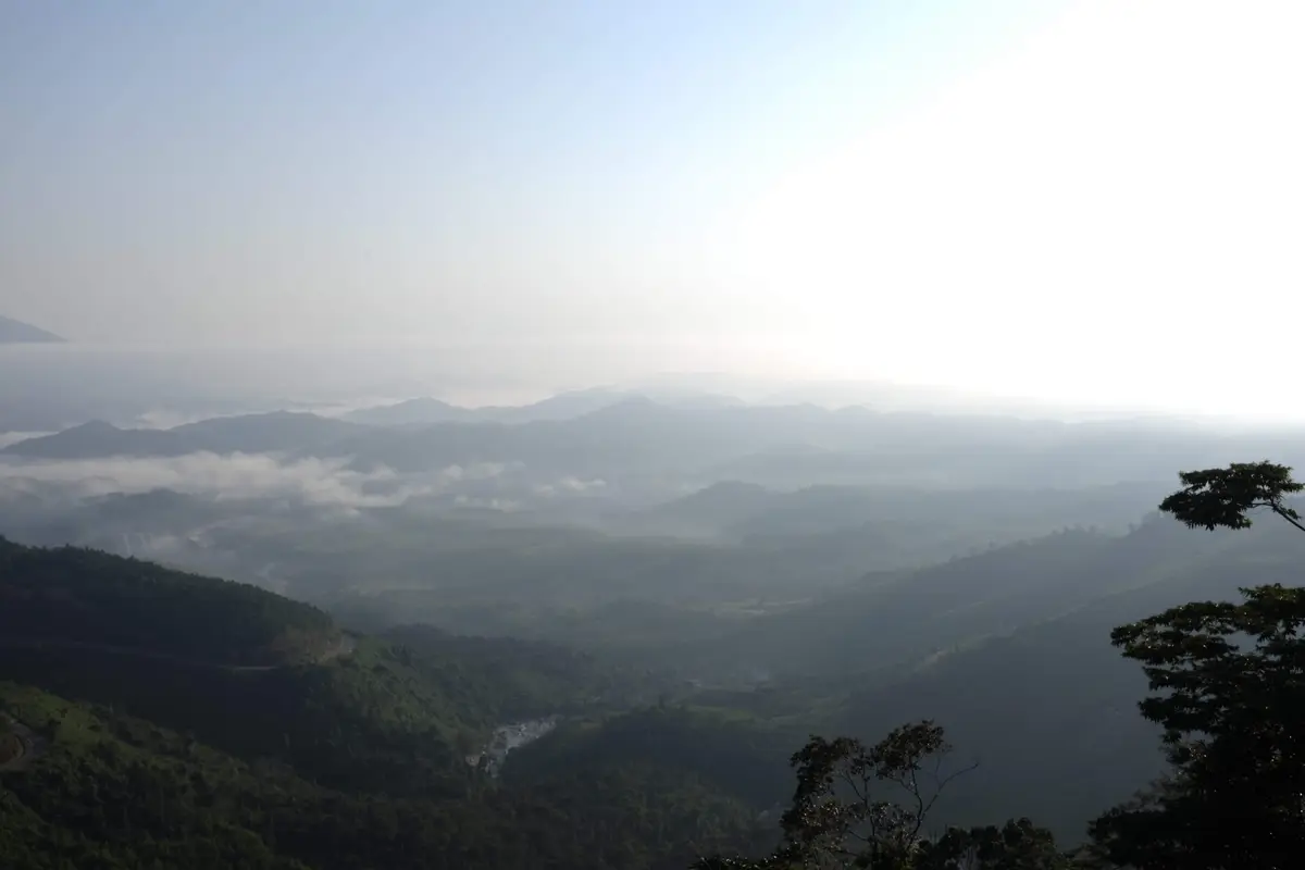Mountain ridges layered in mist seen from a viewpoint through pine branches