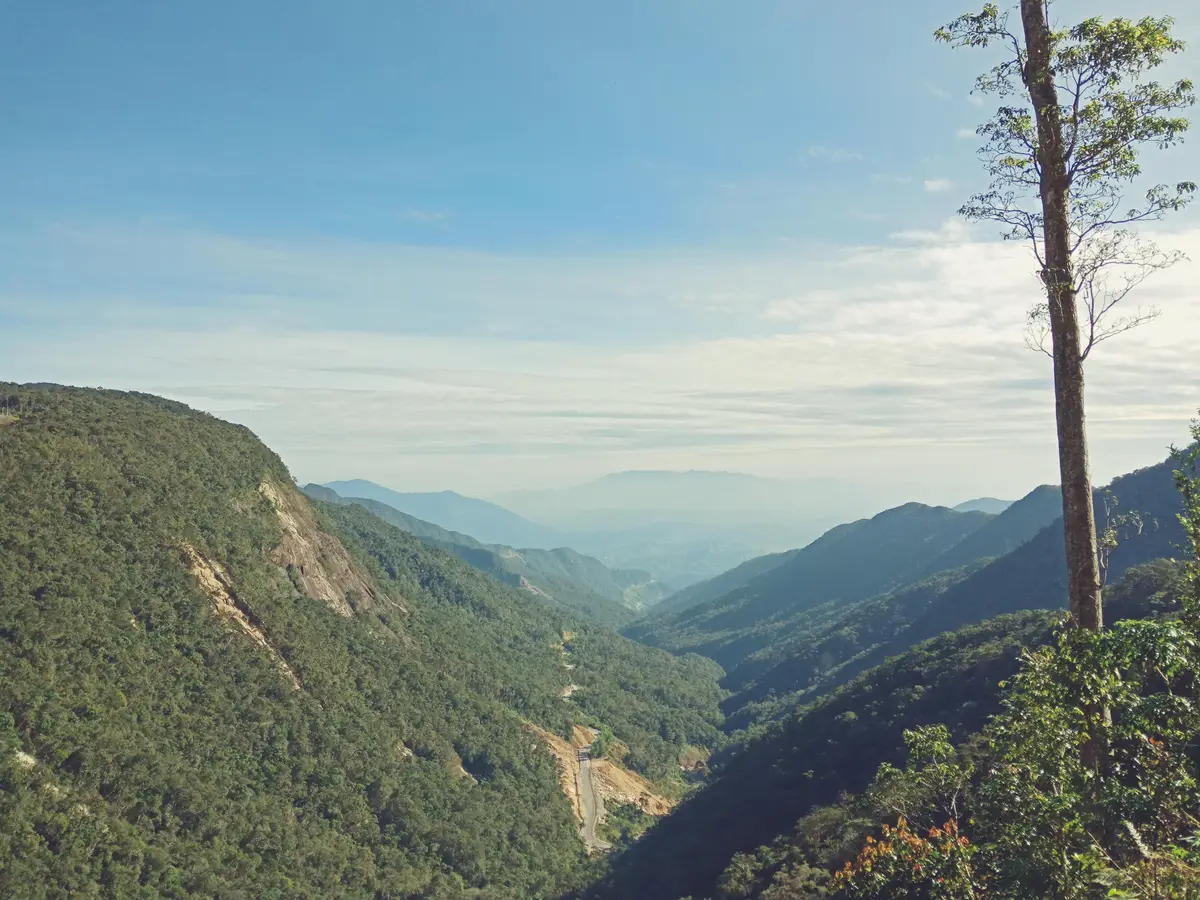 Forested mountain valley with distant ridges fading into haze under a pale sky