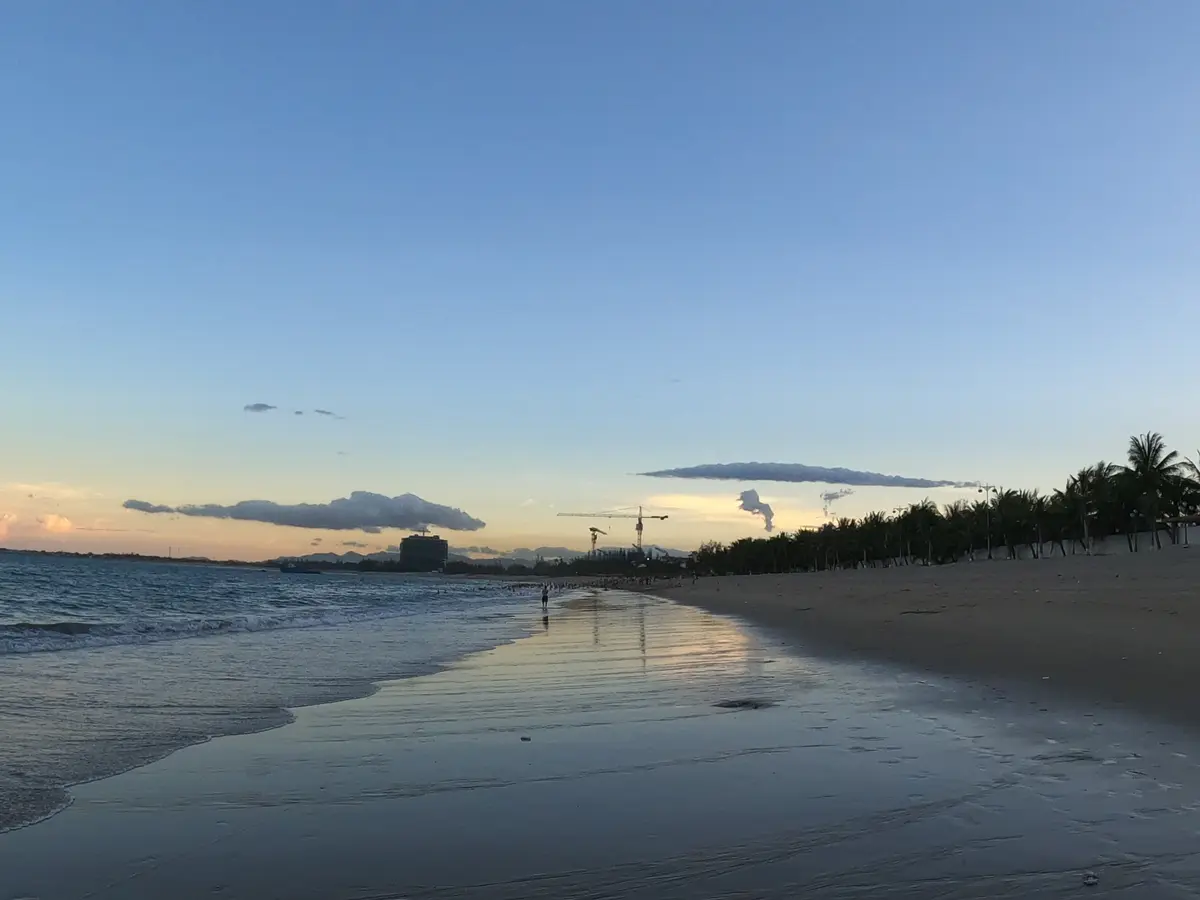Wet sand reflecting an evening sky along a quiet shoreline with palm trees