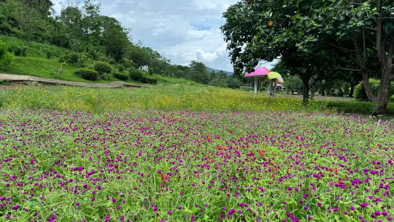 Yang Bay Park, photo 6