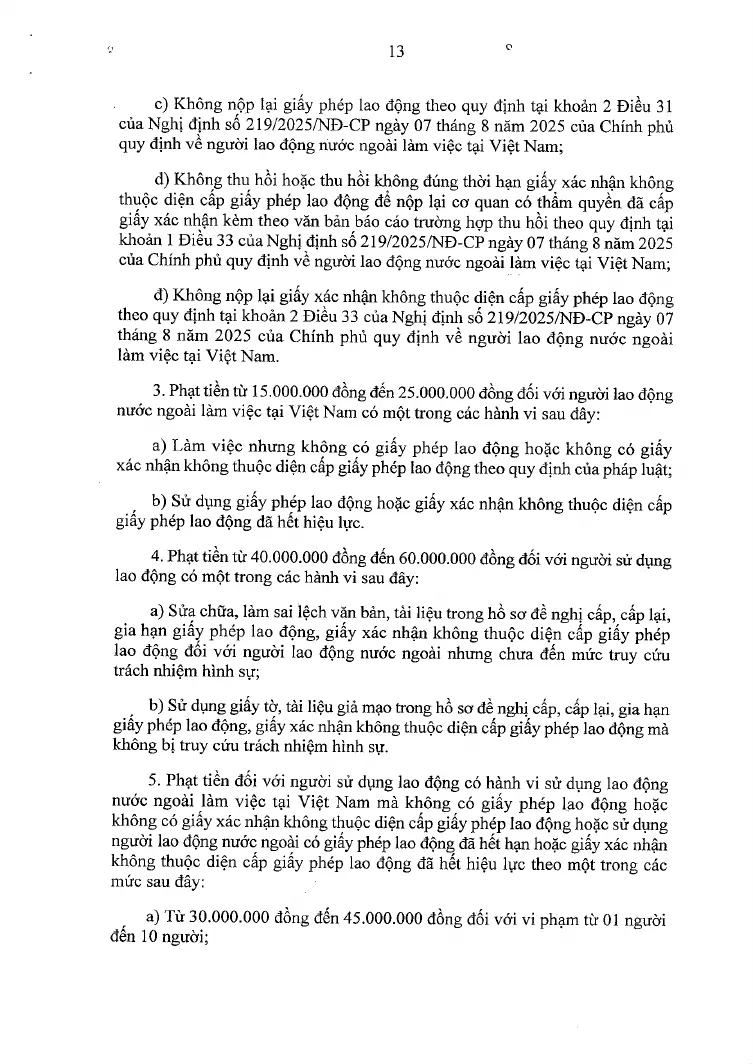 A printed page of the signed penalties decree with the fine for a foreign worker without a permit