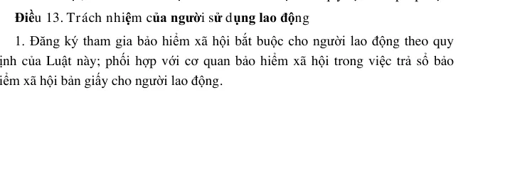 Bottom of a page of the Social Insurance Law showing the heading of the article on the employer's responsibilities and its first clause.